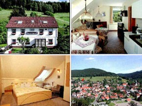 Haus Birkenstübchen *** & ****