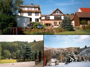 Pension Waldhof ***