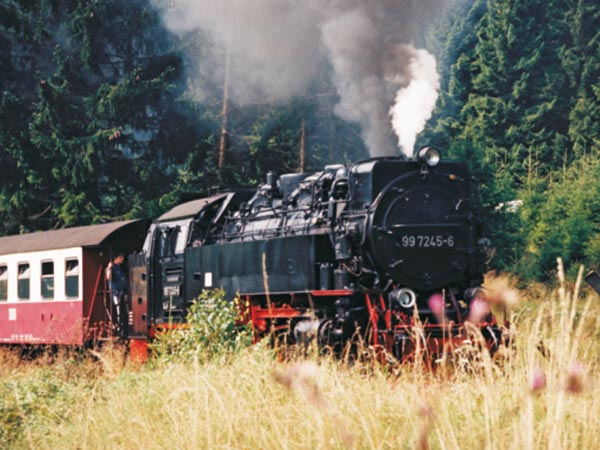 Hotel am Kurpark in Bad Lauterberg