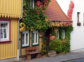 Ferienhaus Timme in Blankenburg