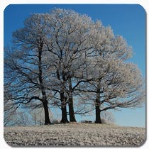 Karrberg Darlingerode