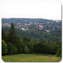 Foto: Liebesbankweg Hahnenklee, mit freundlicher Genehmigung von Lutz Siebert aus Potsdam.