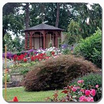 Sangerhausen: Rosarium