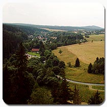 Foto: Blick auf Tanne im Oberharz